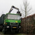 Snoeiafval verwerking (2)